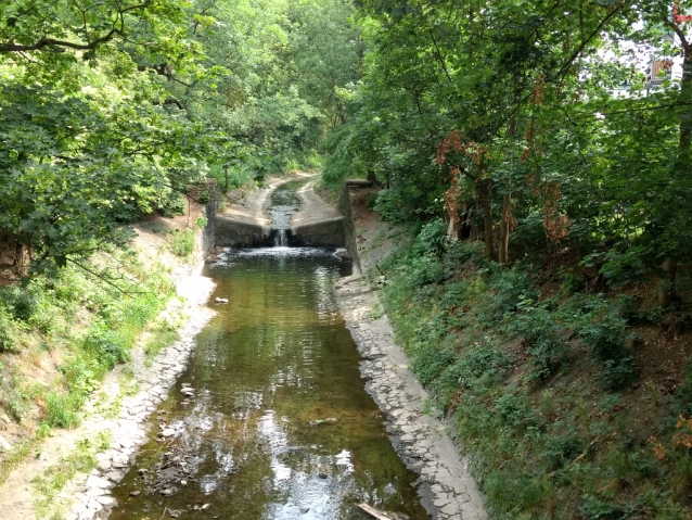 Rybičky plavou v Botiči