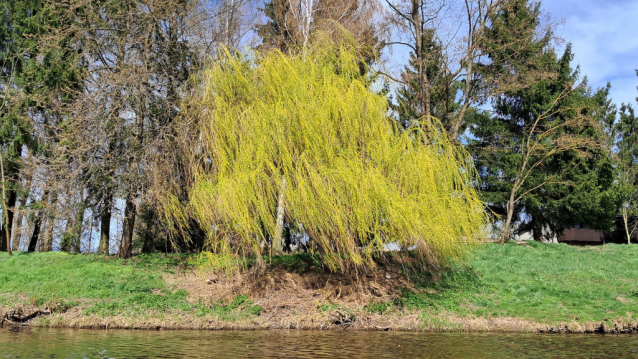 Velikonoční Jizera z Malé Skály skrze Turnov do Svijan