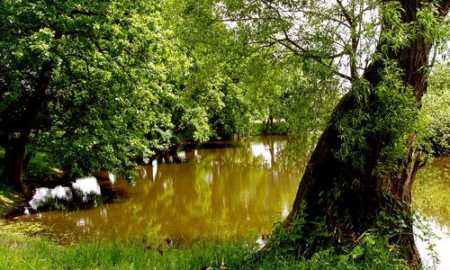 Turistická voda na podzim: Dolní Jizera  