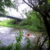Kick&kayak na soutoku Jizery a Labe Kick&kayak na soutoku Jizery a Labe