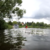 Kick&kayak na soutoku Jizery a Labe Kick&kayak na soutoku Jizery a Labe