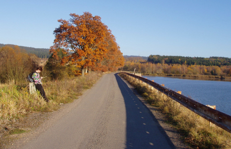 Padrť: Šumava v Brdech