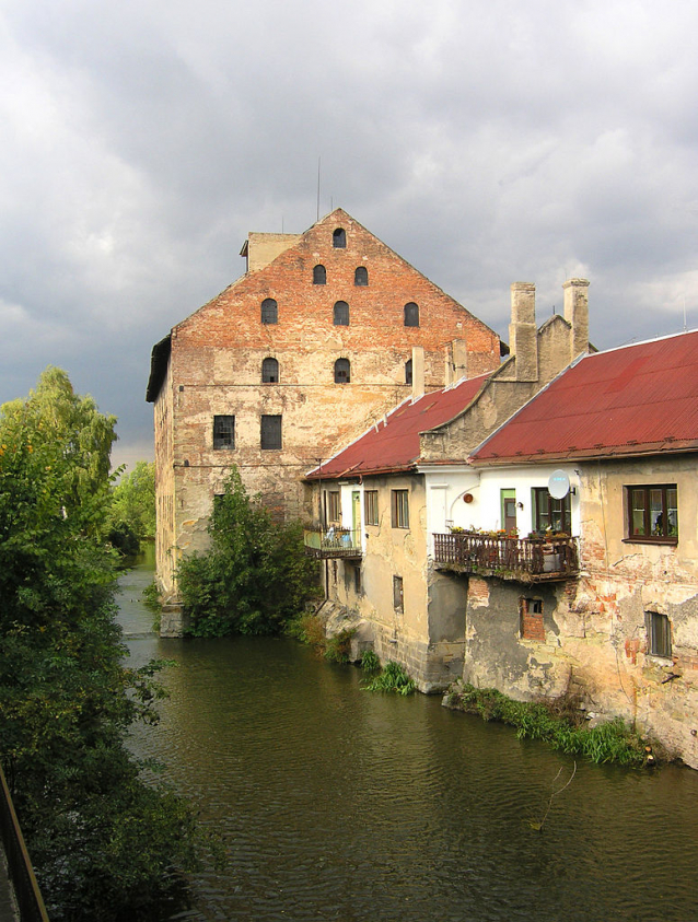 Stará říční ramena u Kostelce nad Labem