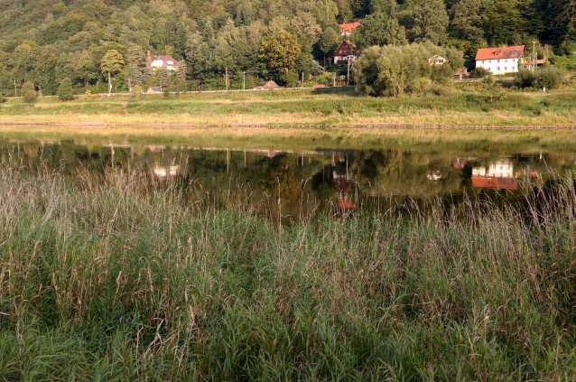 Dolní Labe na kajaku z Ústí do Míšně