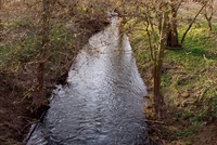Libuňka, říčka v Českém ráji Libuňka, říčka v Českém ráji
