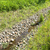 Lichovský potok znovu meandruje v přírodním korytě