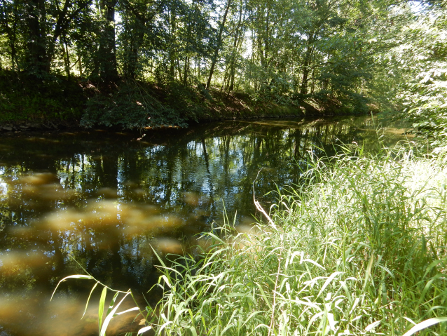 Lužnice: vodácký průvodce a kilometráž