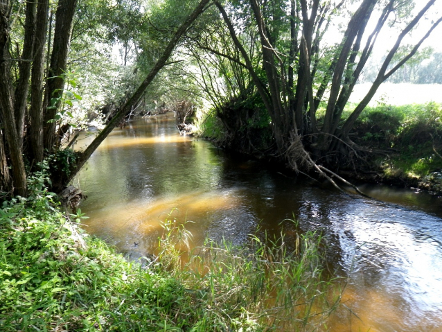 Lužnice: vodácký průvodce a kilometráž