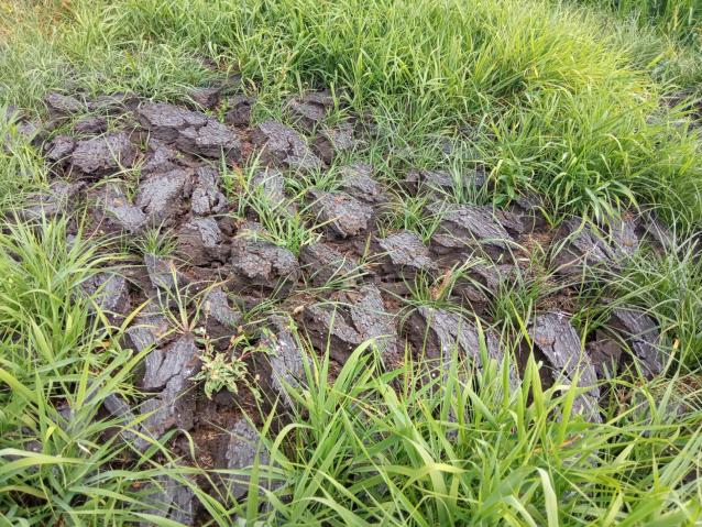 Z Vitorazska do Třeboňské pánve na koloběžkách