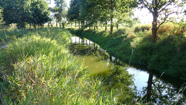 Zlatá stoka na kajaku z Majdaleny do Třeboně