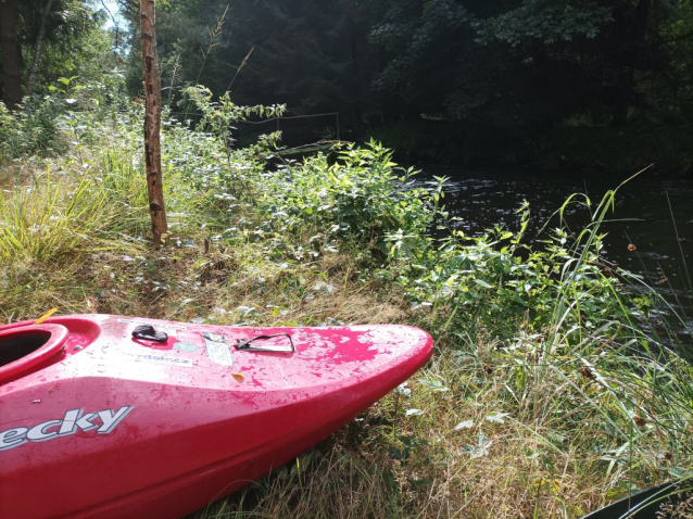 Mlýnská stoka v Třeboňské pánvi
