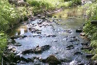 Sedlčany: Sukova stezka Sedlčany: Sukova stezka