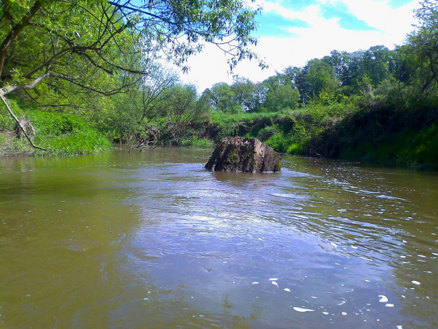 Bobří řeka Odra nad Ostravou