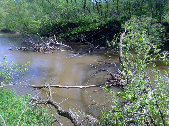 Bobří řeka Odra nad Ostravou