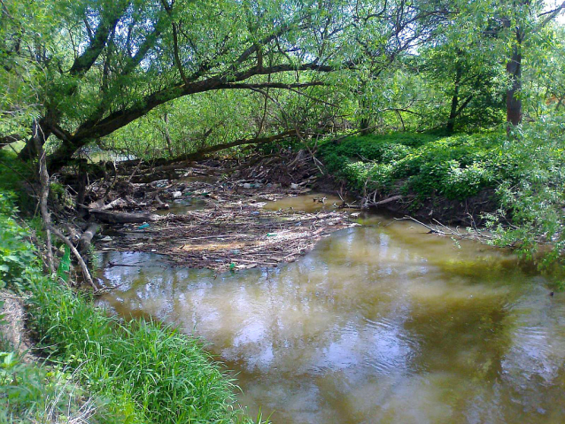 Bobří řeka Odra nad Ostravou