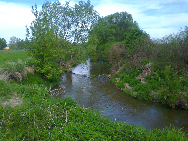 Bobří řeka Odra nad Ostravou