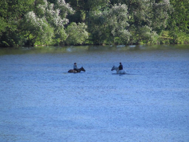 Kick&kayak na Ohři u Žatce