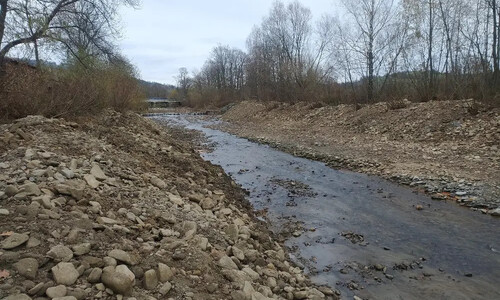 Řeka Olše se stala mrtvým kanálem Řeka Olše se stala mrtvým kanálem