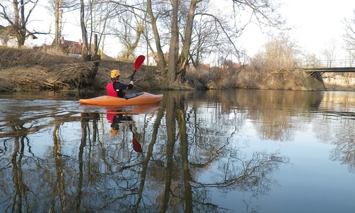 Český les AKTUÁLNĚ 2012