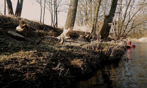 Radbuza má dva prameny Radbuza má dva prameny