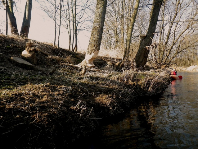 Pohodáři, splujte Radbuzu