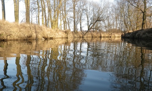 5 utonulých v českých rybnících a řekách 5 utonulých v českých rybnících a řekách