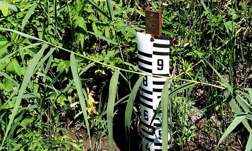 Potoky pod Máchovým jezerem Potoky pod Máchovým jezerem