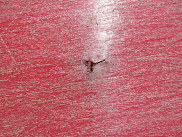 Jak dlouho vydrží plastový kajak? 15 let a 1500 km