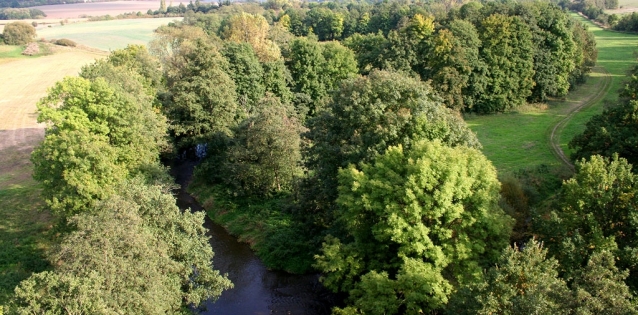 Úhlava pomalu teče k Plzni