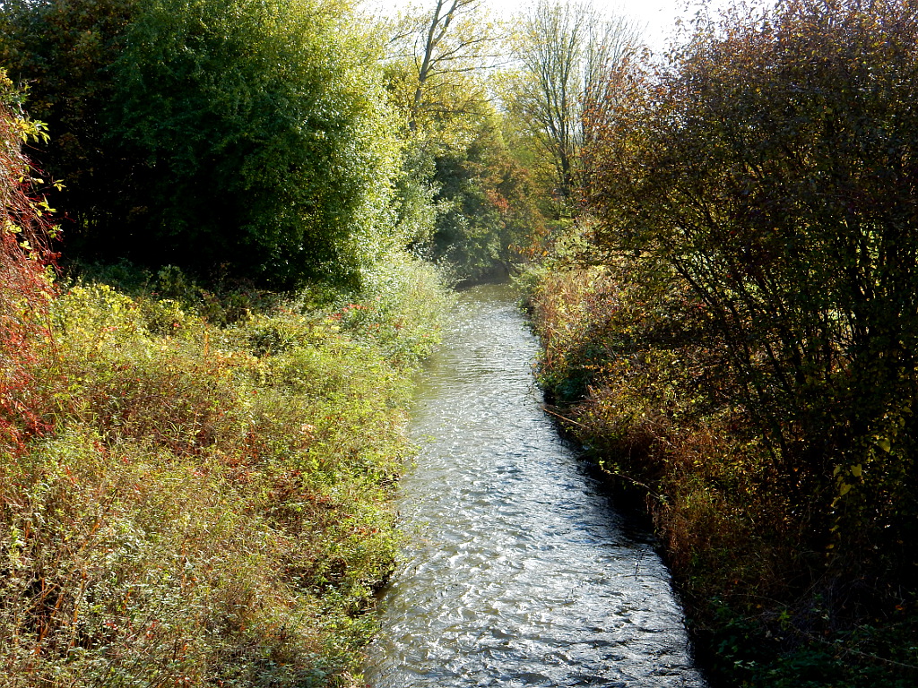 Vlkava pod Kostomlaty vtéká do Mydlovarského luhu a dostává jméno Farský potok.