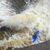 Vltava: vodácký průvodce a kilometráž Vltava: vodácký průvodce a kilometráž
