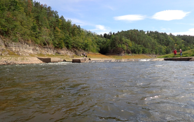 Vltava svižně teče starobylým korytem z Kořenska do Podolska
