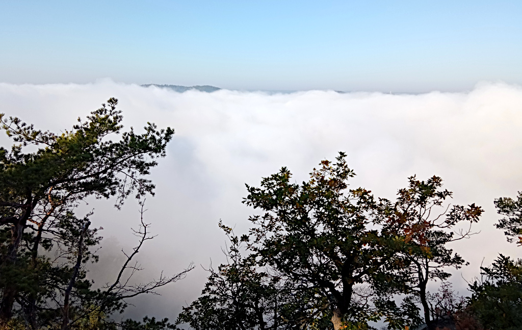 Hustá mlha se převaluje v údolí Vltavy mezi Slapy a Štěchovicemi.