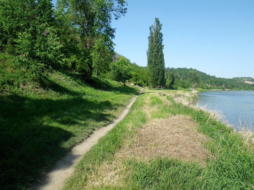 Vltava, stezka po pravém břehu Vltavy u Řeže.
