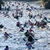 Vltava: vodácký průvodce a kilometráž Vltava: vodácký průvodce a kilometráž