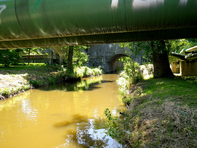 Cyklistický výlet na Bořeň a jízda do Prahy