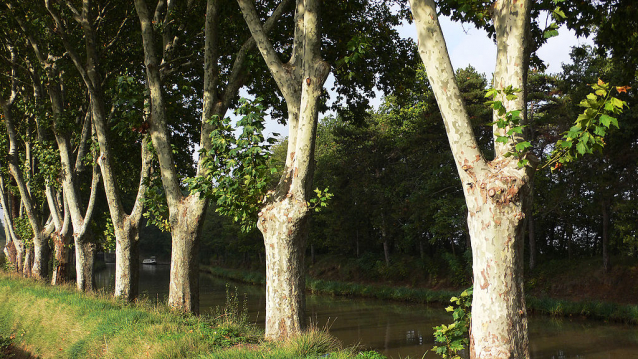 Canal du Midi, kanál dvou moří, canal des Deux Mers