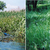 Biebrza - polská Amazonka Biebrza - polská Amazonka