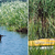 Biebrza - polská Amazonka Biebrza - polská Amazonka