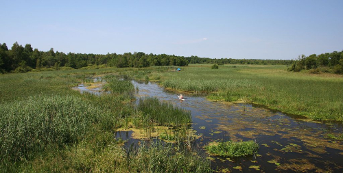 Biebrza - polská Amazonka