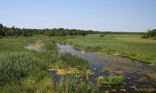 Biebrza - polská Amazonka Biebrza - polská Amazonka