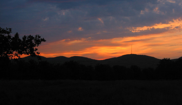 Koupání na Dunaji ve Vídni