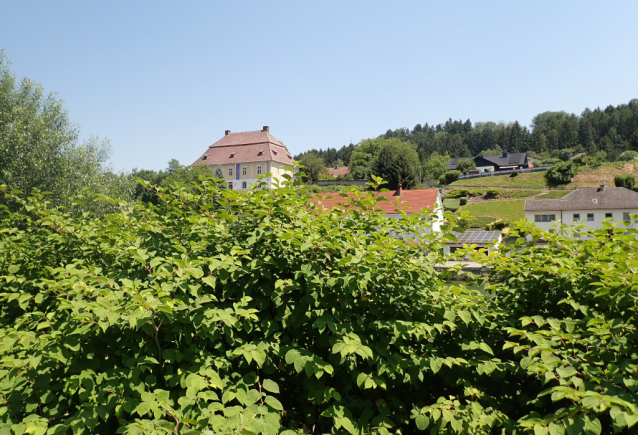 Steyr, když je vody akorát
