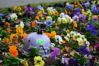 Karlštejnsko sportovní kamerou Karlštejnsko sportovní kamerou