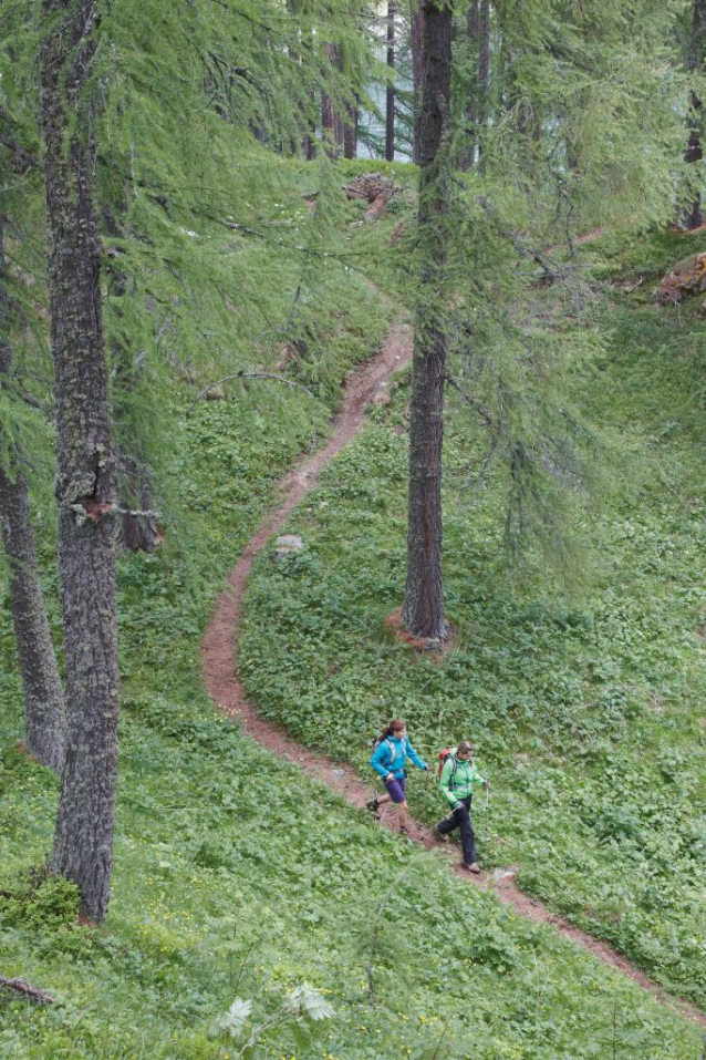 NordicWalking šlechtí tělo i duši! Kde se dobře chodí a jak na to?