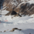 9 lyžařů zemřelo pod lavinami při freeridingu a skialpinismu 9 lyžařů zemřelo pod lavinami při freeridingu a skialpinismu