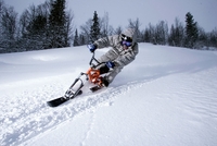 Akční skibob SMX Merc Akční skibob SMX Merc