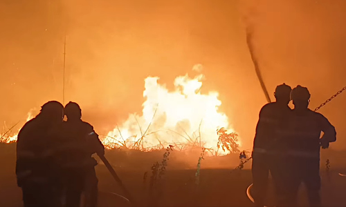 Oheň v Hřensku: příroda bere vše