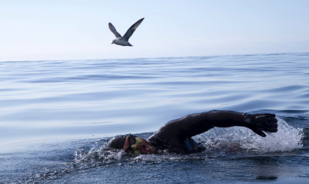 Strongman Ross Edgley swims into shore after 157 days and 2,000 miles at sea