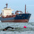 Strongman Ross Edgley swims into shore after 157 days and 2,000 miles at sea Strongman Ross Edgley swims into shore after 157 days and 2,000 miles at sea